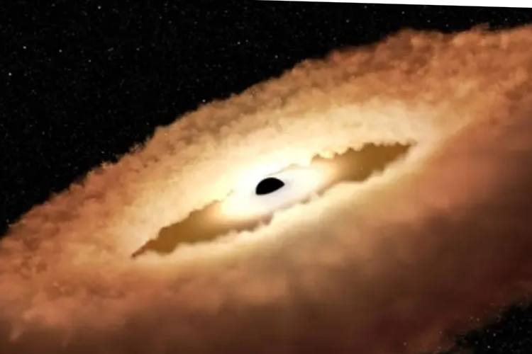NASA บันทึกภาพหลุมดำที่บิดตัวเป็นรูปโดนัท